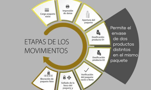 ETAPAS-DO-CARROSSEL